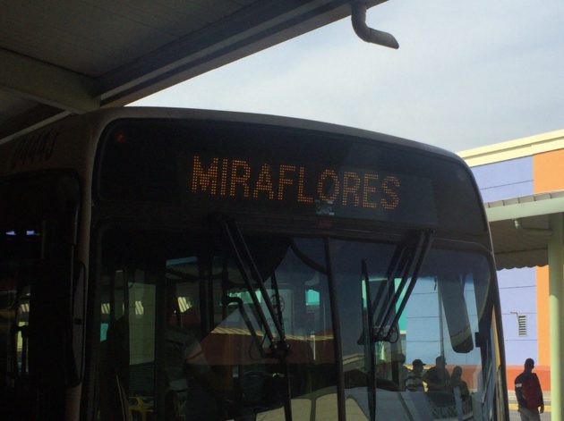 ミラフローレス_バス