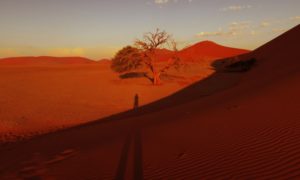 ナミビア(3)【ナミブ砂漠2】世界一セクシーな夕日を堪能＠DUNE45