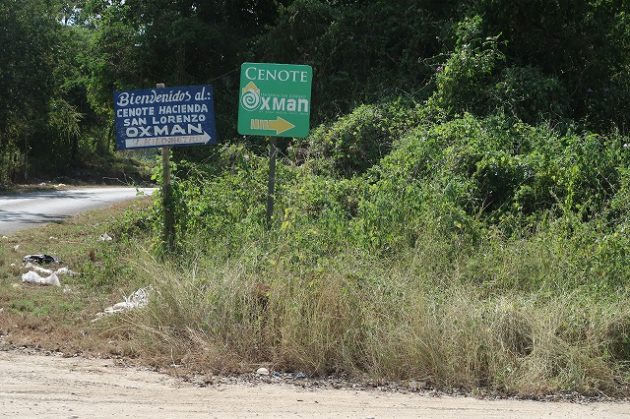 Cenote Oxman(セノーテ オシュマン)