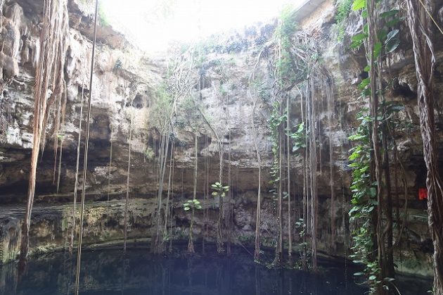 Cenote Samura(セノーテ サムラ)